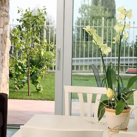 I Limoni Del Rustichel Apartment